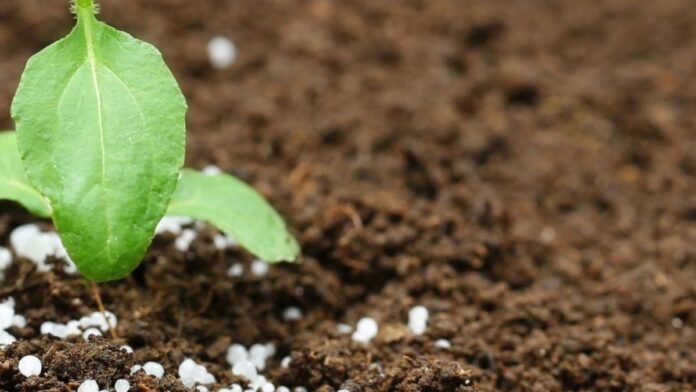 Más producción: los fertilizantes como aliados de la agricultura