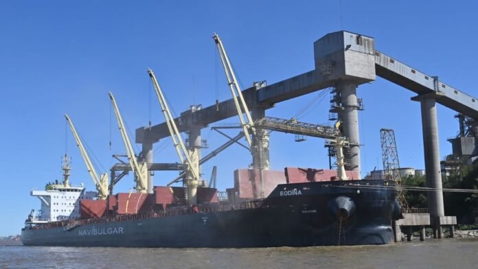 Retenciones cero: ¿Se trasladó el beneficio a los productores?