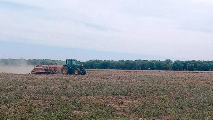 Se consolidaron los buenos rendimientos del trigo en centro y norte de Santa Fe