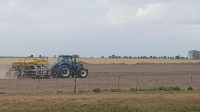 Ya se sembró un 30% de soja temprana en el centro-norte de Santa Fe