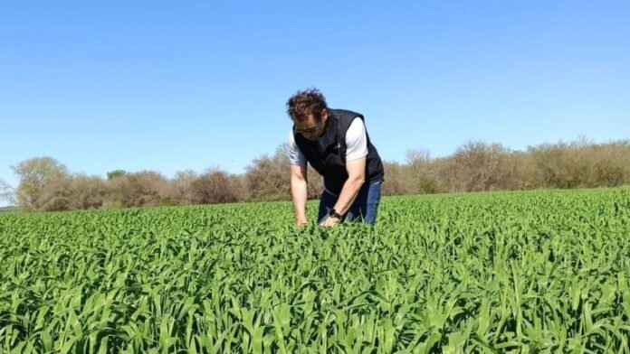 Agbarometer Austral: vuelve el entusiasmo en el campo, con prudencia en las decisiones de inversión