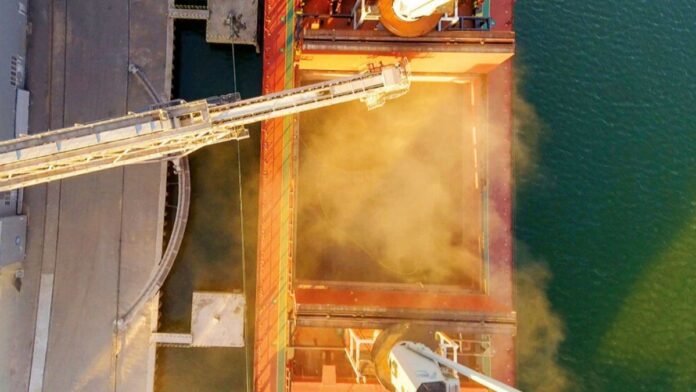 El agro consolidó su recuperación y alcanzó niveles récord de actividad