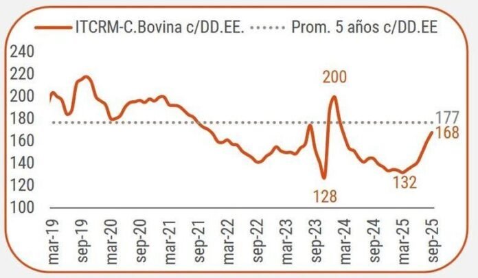 Ganadería argentina: el mapa de riesgos y oportunidades