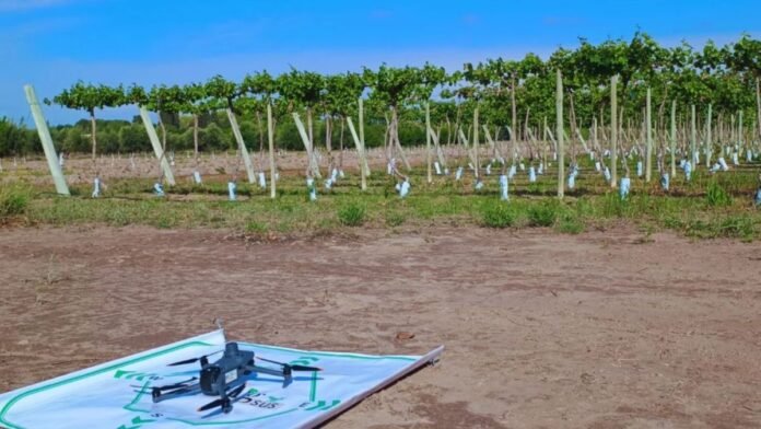 Un idioma común para el ecosistema agtech del Cono Sur: presentaron un protocolo para acelerar la transformación digital en el agro