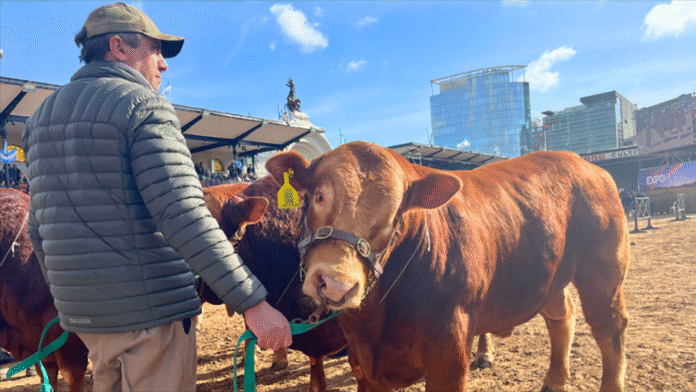 Córdoba entregó créditos para fortalecer la producción ganadera y láctea