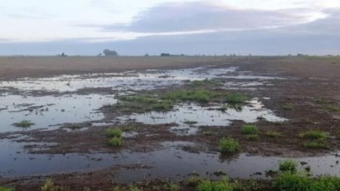 La BCR informó que en 2025 llovió un 20% más que el año anterior