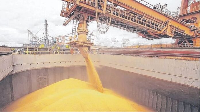 Clima, geopolítica y fondos especulativos marcan el nuevo ritmo del mercado