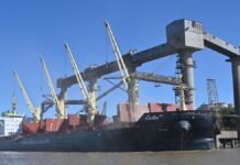 La agroindustria celebró el acuerdo Mercosur–UE y apuesta a más exportaciones