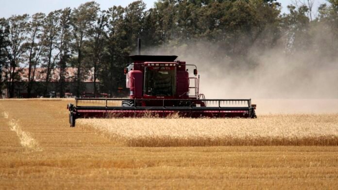 La Región Centro reclama una reforma para diferenciar el trigo de especialidad