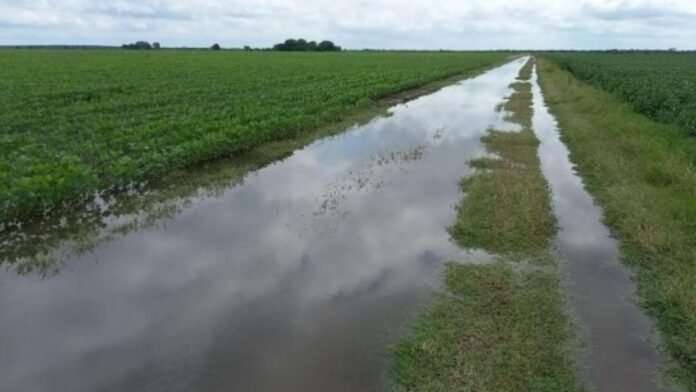 Lluvias de hasta 270 mm frenaron las tareas agrícolas en el centro-norte de Santa Fe