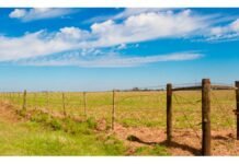 Optimismo en el agro: sube la intención de inversión de los productores