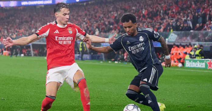 Playoffs de la Champions League: Benfica–Real Madrid enciende Europa y promete una noche histórica