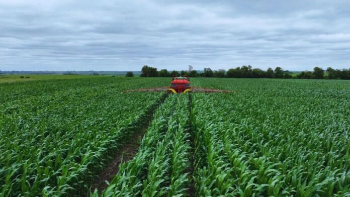 Fertilizantes: de la expansión a la incertidumbre