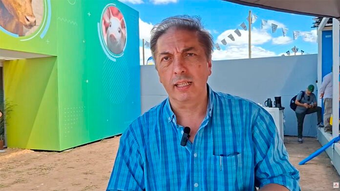 Sin crédito no hay transición: el desafío de reconstruir a las PyMEs