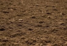 Degradación de suelos: el agro enfrenta un problema estructural que exige cambios de fondo