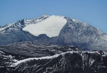 Día de la Tierra: Greenpeace exige frenar la ofensiva contra bosques y glaciares en Argentina