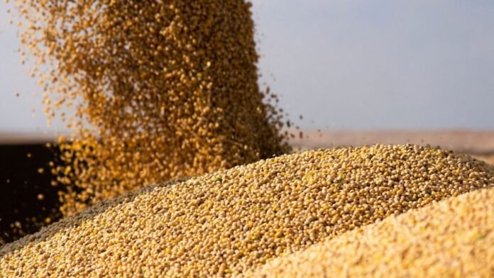 El conflicto en Medio Oriente redefine el mercado global de granos