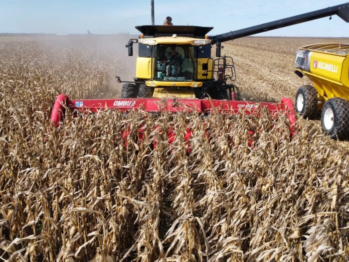 El conflicto en Medio Oriente sacude los mercados internacionales y el impacto llega rápido al sector agropecuario