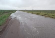 Inundaciones en el norte: Santa Fe activa financiamiento y asistencia para productores agropecuarios