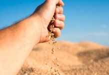 Semillas: los multiplicadores piden una mesa de diálogo