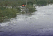 Tostado: Encontraron el cuerpo del sujeto que cayó al río