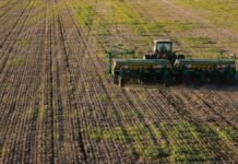 Bajó el costo de la urea y se achica el recorte en la siembra de trigo