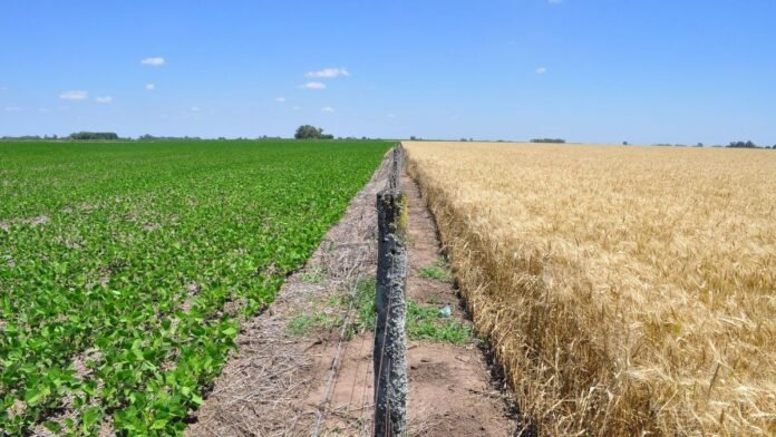 Bioinsumos: Argentina acelera su estrategia para posicionarse en Europa