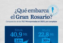 El Gran Rosario volvió a ser el principal nodo agroexportador del mundo