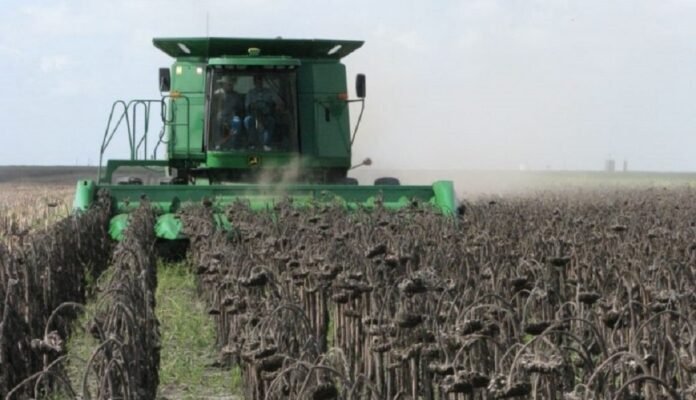 Exportaciones agroindustriales despegan: crecieron 18% y marcaron un récord histórico