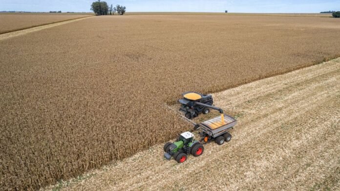 Menos stocks, clima adverso y expectativa por China: el combo que recalienta al mercado agrícola