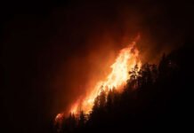 Se multiplicaron por diez los bosques patagónicos arrasados por el fuego y fueron los peores incendios de las últimas seis décadas