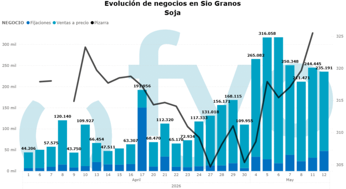 Soja retenida, maíz firme y un trigo que empieza a despertar: las claves del mercado granario argentino