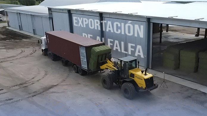 Ya se exportaron más de 90