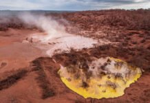 Día del Sobregiro: Greenpeace exige políticas basadas en la ciencia