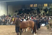 La Rural: la muestra priorizó el debate político