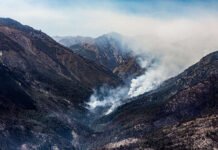 Posición de Greenpeace sobre el proyecto de “Ley de Inviolabilidad de la Propiedad Privada”