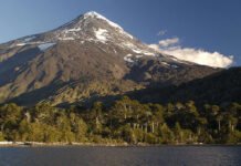 Greenpeace sobre el freno a cambios en leyes de manejo del fuego y de tierras rurales: Es una victoria de la gente
