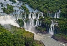 Greenpeace funda una República y busca ciudadanos para salvar la Ley de Bosques