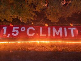 Día Internacional contra el Cambio Climático: Greenpeace advierte sobre la urgencia de acelerar la acción climática