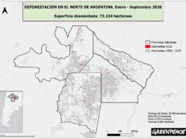 La deforestación no se detiene: más de 73.000 hectáreas arrasadas en el norte